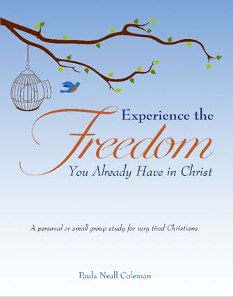 Experience the Freedom Book